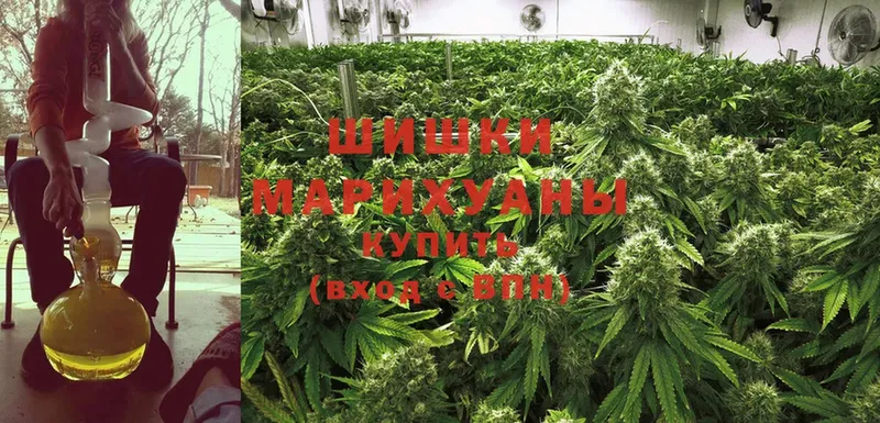 Бошки Шишки Ganja  Трубчевск 